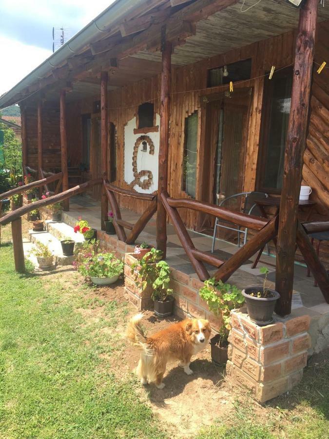 Hacijenda Gane Apartment Soko Banja Luaran gambar
